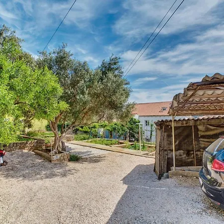 Dami * Mali Losinj